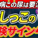 【糖尿病必見】知らないと一生後悔！糖尿病の尿に出る危険サイン4選【糖尿病・高齢者・血糖値・HbA1c】