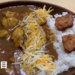 【740日目】末期糖尿病から寛解中の食事記録