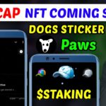 Caps connect wallet | Caps 🧢 stake nft | Paws new task 5000 paws | Dogs holiday season new sticker