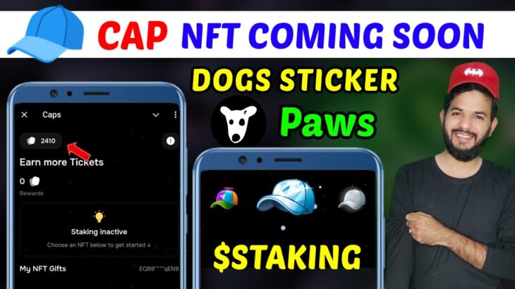 Caps connect wallet | Caps 🧢 stake nft | Paws new task 5000 paws | Dogs holiday season new sticker