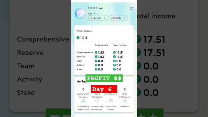 Day 6 of treasure nft profit. Let’s check it’s a scam or not. #nft #profit #trader