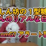 【１型糖尿病】夜中のアラートに気づかなかった私のDexcomG7アラート設定