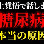 【糖尿病の闇】恐ろしすぎる真実…最新研究で分かった糖尿病の本当の原因【糖尿病・高齢者・血糖値・HbA1c】