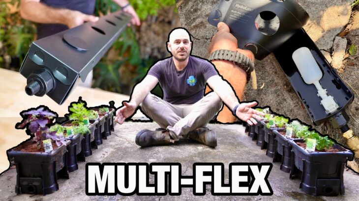 Introducing the Multi Flex Channel: NFT, RGGS and More…