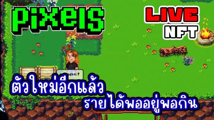 [ LIVE ] Pixels NFT งอกตัวใหม่กันดีกว่า EP.318