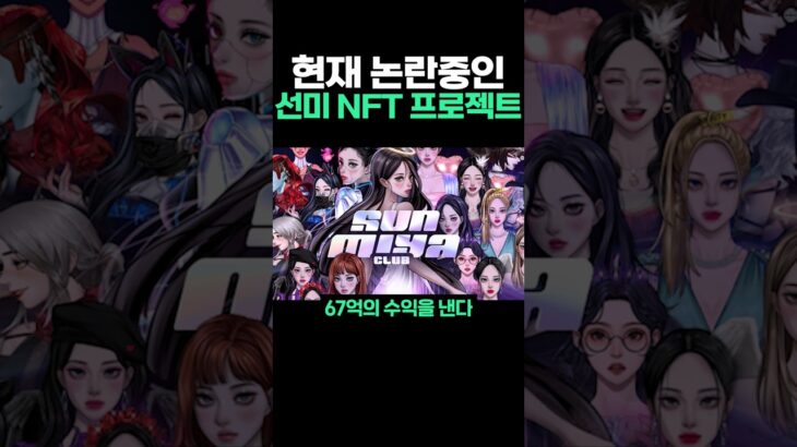 현재 논란중인 선미NFT 프로젝트