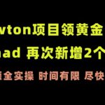 Newton项目领黄金纪念卡NFT｜Monad测试网再次新增2个NFT项目｜一步步的全实操教程视频｜时间有限尽快去做噢｜Newton的NFT非零撸