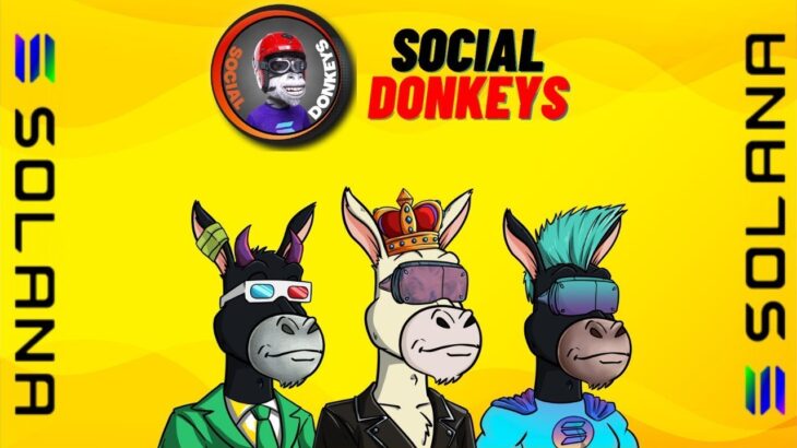 Social Donkeys NFT – Upcoming Solana NFT | 3D NFTs