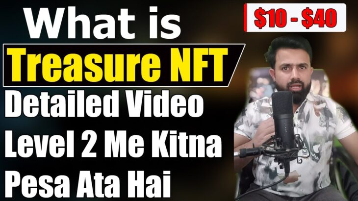 Treasure NFT Full Detailed Video – Level 2 Me Kitna Pesa Ata Hai Upto $40