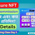 Treasure NFT Team Commission কীভাবে এবং কত পাবেন প্রতিদিন? | Treasure NFT Team Commission Class Day3