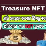 Treasure NFT income | প্রতি লেভেলে কত ইনকাম হয় ? প্রতি লেভেলে কতবার উইথড্র করা যাবে?