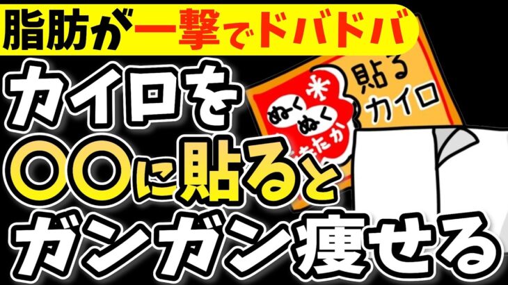 【糖尿病必見！】知らないと一生後悔！カイロを貼るで血糖値&コレステロールが下がる正しい貼り方と避けるべき貼り方【ごっそり痩せる・代謝アップ・ダイエット効果・糖尿病・高齢者・脂質異常症・血糖値・血圧】