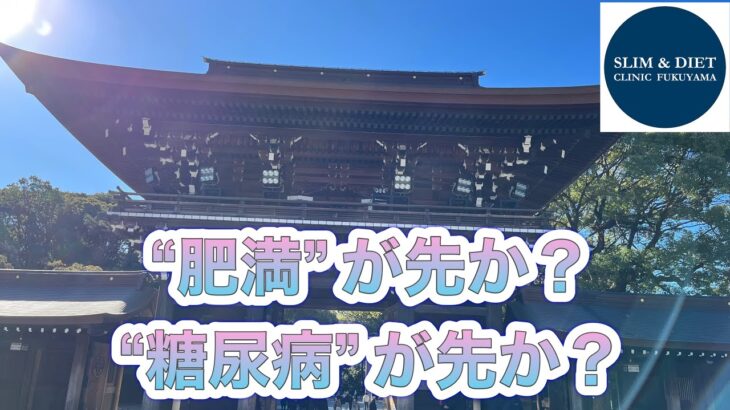 “肥満”が先か？　“糖尿病”が先か？