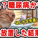 【悲報】糖尿病の初期症状を放置した結果→ｗｗヤバすぎオワタ…