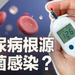 糖尿病治错了？細菌比糖更可怕！最新研究和疗法顛覆認知！