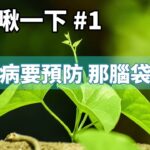 糖尿病要預防 那腦袋呢？ 心累啾一下#1(試播集)