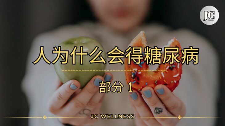 人为什么会得糖尿病丨部分 1丨碳水食物丨血糖升高丨糖尿病丨遗传病丨减少糖分食物丨JC WELLNESS