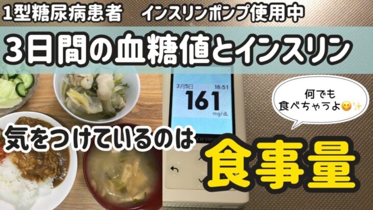 【1型糖尿病】３日間のリアルな血糖値とインスリン　食事内容　SAP療法　AID療法　CGM   CSII