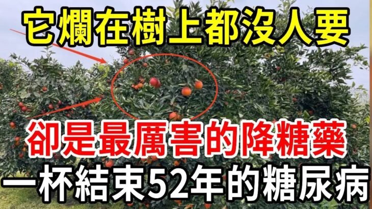 它是糖尿病的天敵，卻爛在樹上都沒人要！72歲老人每天泡水喝，一杯血糖從9.8降到4.0，結束了52年的糖尿病！【中老年講堂】