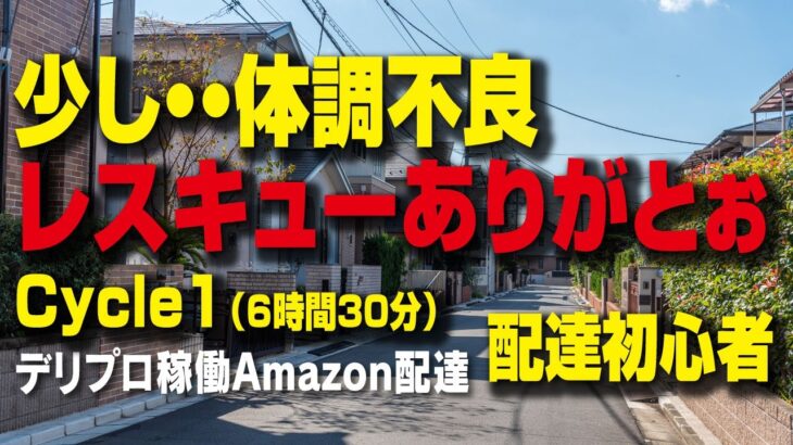 【Amazon配達】糖尿病の薬で体調不良・・レスキュー来てもらいました。