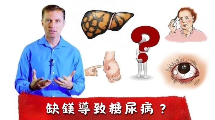 缺鎂會導致糖尿病嗎？談鎂與糖尿病,自然療法,柏格醫生 Dr Berg