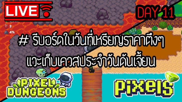 🔴 LIVE #11 : PIXEL NFT  รีบอร์ดในวันที่เหรียญกลิ้งตกบรรได | เก็บเควสดันเจี้ยนประจำวัน