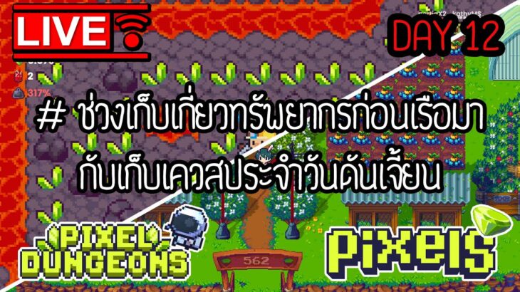 🔴 LIVE #12 : PIXEL NFT  เก็บทรัพยากรก่อนเรือมา🚢 | ลงดันเจี้ยนห้อง 1000-3000 Pickaxe