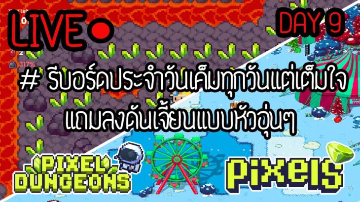 🔴 LIVE #9 : PIXEL NFT  รีบอร์ดประจำวัน | ลงดันเจี้ยนหัวอุ่นๆ