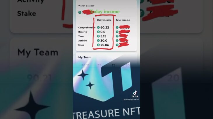 Treasure NFT Daily income || Real earning platform ||