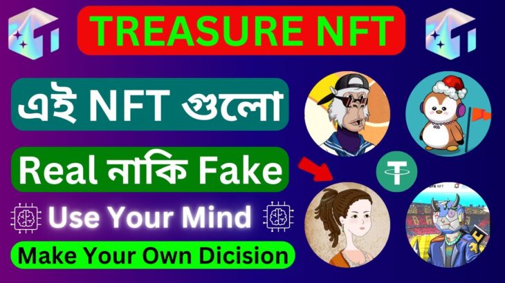 Treasure NFT এই NFT গুলো Real নাকি Fake | Use Your Own Mind | Make Your Own Decision | NFT REAL?