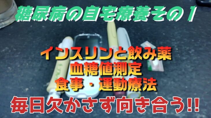 【糖尿病と向き合う】自宅療養での闘病について、現在やっている事【運動や食事・インスリンと飲み薬】