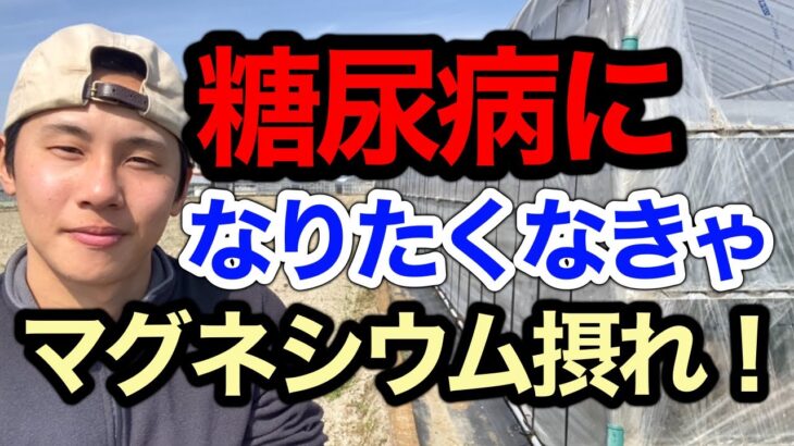 糖尿病リスクを圧倒的に減らす食事法