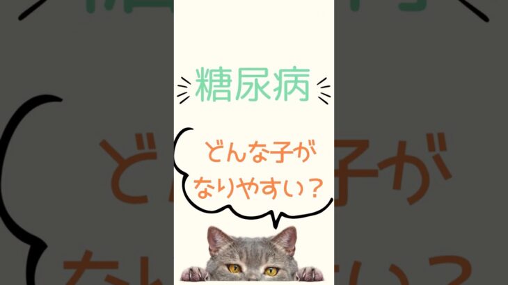 【犬・猫】糖尿病。なりやすい特徴は？【獣医師・愛玩動物看護師】