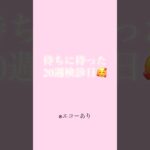 20w妊婦健診行ってきた。#妊娠糖尿病 #妊娠中期 #療法食 #妊婦 #2人目妊娠中 #30代 #エコー検査