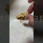 中華食材館で買ったよくわからないけどピーナッツを砂糖で絡めたら美味しい確定のやつ食べて美味しかった糖尿病803日目 #糖尿病