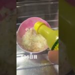 糖尿病806日目　#糖尿病 #心筋梗塞 #food #食事記録