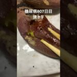 全部焼き芋食べた糖尿病807日目食事記録 #糖尿病 #糖尿病の品格 #food #心筋梗塞 #グルメ好き #料理 #やきいも