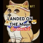 Baby doge                                        #6104 #Shorts #youtubeshorts #Nft #bitcoin #token