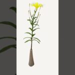 #NFT #ART #FLOWER
