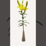 #NFT #ART #FLOWER