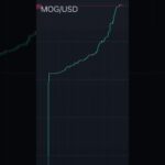 Start today at tradewithphoton.com #photon #mogcoin #getmogged #ethereum #trading101 #nft