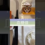 緩徐進行1型糖尿病になりました。入院3日目の食事と血糖値の推移です。