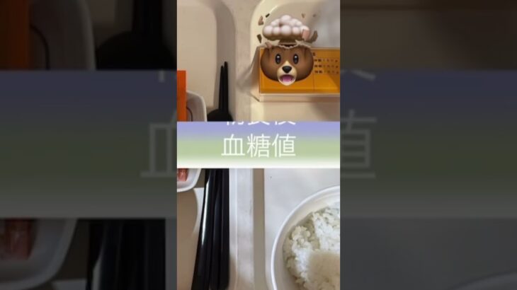 緩徐進行1型糖尿病になりました。入院3日目の食事と血糖値の推移です。