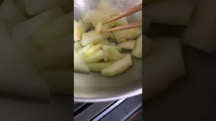 150円の乞食メロンおいしくない糖尿病826日目食事記録 #糖尿病