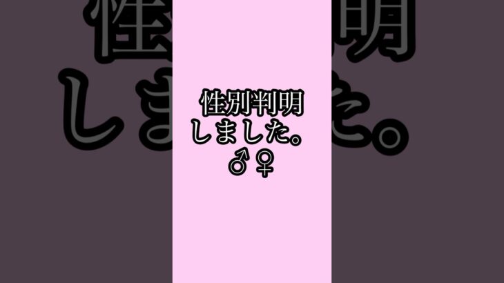 #性別発表 #妊娠糖尿病 #妊娠中期 #2人目妊娠中 #妊婦 #30代 #20w