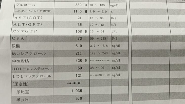 【血液検査】2型糖尿病のM.K