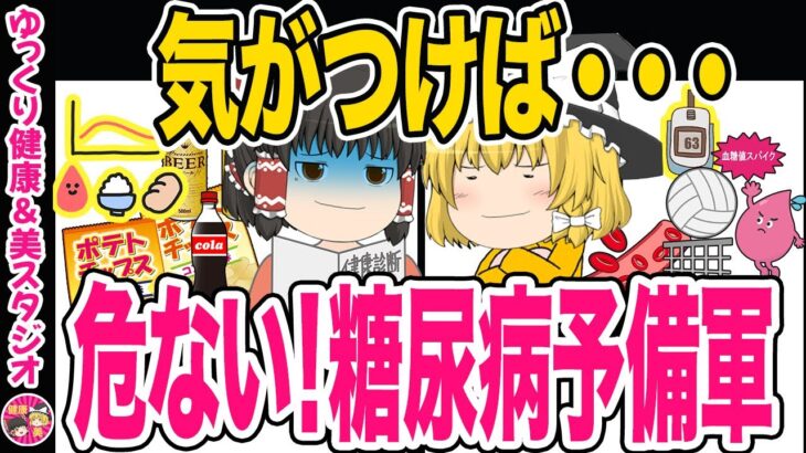 【40代50代】糖尿病ってどんな病気！？約6人に1人は糖尿病もしくは予備群らしい・糖尿病になる仕組みと予防【ゆっくり解説】