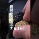 案の定まずい4割引きの乞食ごま団子食べる糖尿病813日目食事記録 #糖尿病 #糖尿病の品格 #food #心筋梗塞 #血糖値 #肥満 #ダイエット #cooking #ごま団子 #乞食 #乞食娯楽