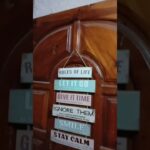 5 Major Rules of Life @Jane_asmr @MrBeastGaming #rules #nft