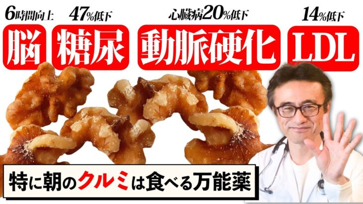【朝食】脳が6時間フル稼働＆糖尿・LDL・動脈硬化をクルミが改善！記憶力・集中力・実行力が爆上がりする最新研究【医師解説】